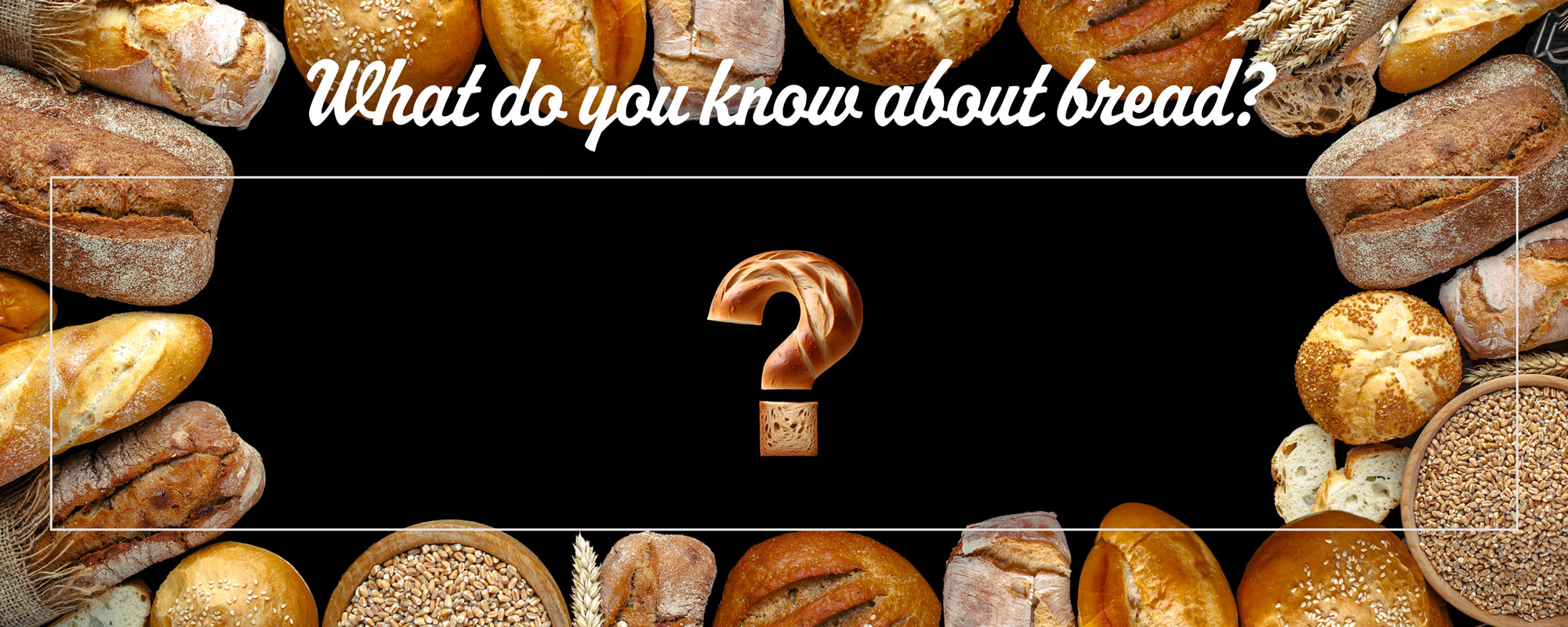 What do you know about bread?