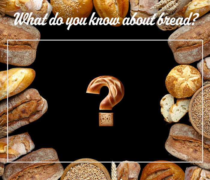 What do you know about bread?