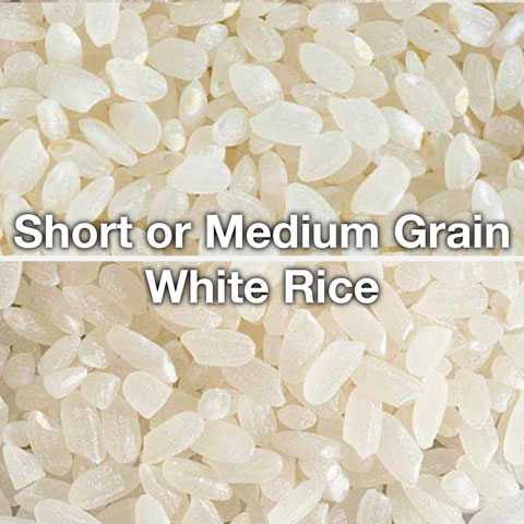 Short or Medium White Rice