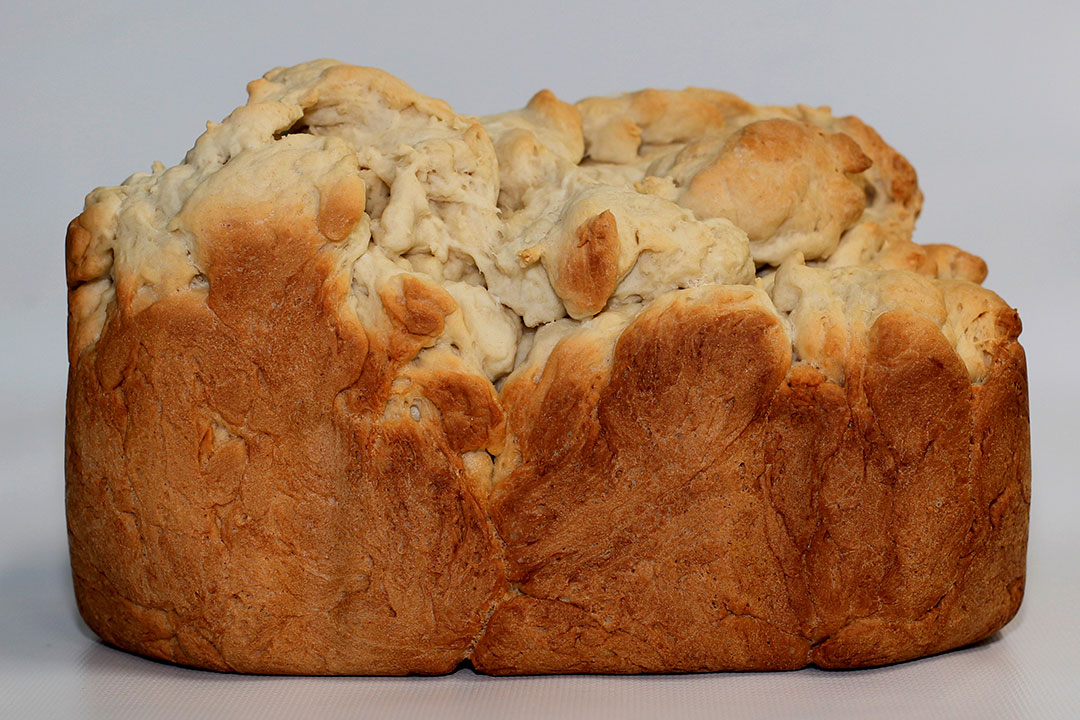 Zojirushi Bread Machine Recipes Small Loaf - French Bread ...