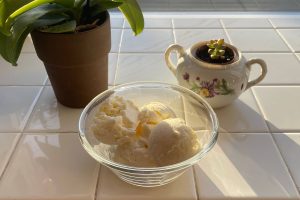 ice cream in dish on counter with plants