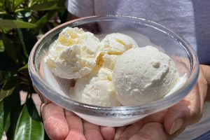 hands holding glass dish of vanilla ice cream