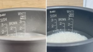 water line in rice cooker pan