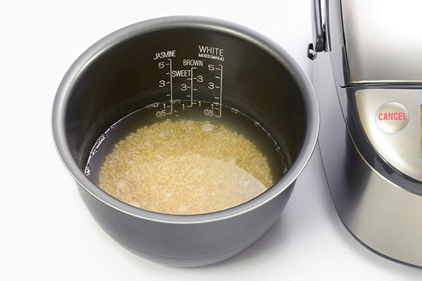 Rice Cooker Oatmeal Recipe - Southern Home Express